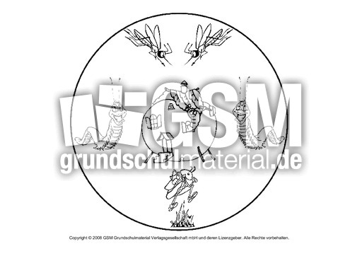 Tier-Mandala-3.pdf